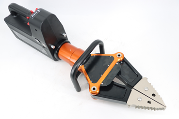 美女的隐藏部位是什么图片