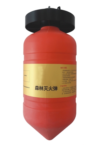 美女的隐藏部位是什么图片