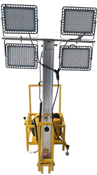 美女的隐藏部位是什么图片