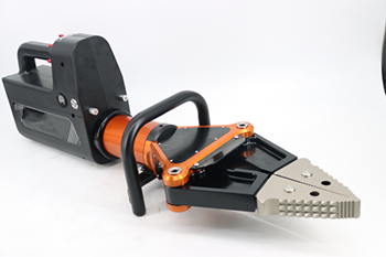 美女的隐藏部位是什么图片