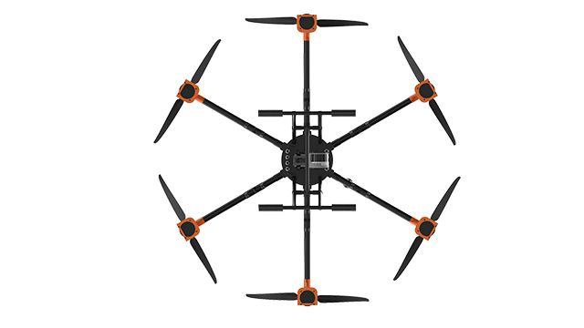 美女的隐藏部位是什么图片