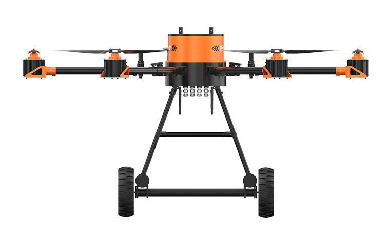 美女的隐藏部位是什么图片