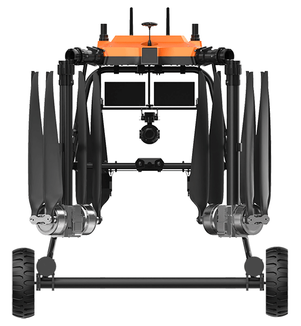 美女的隐藏部位是什么图片