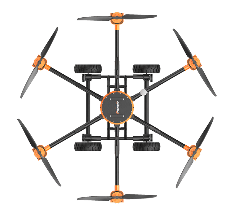 美女的隐藏部位是什么图片