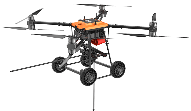 美女的隐藏部位是什么图片