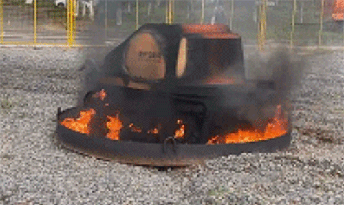 美女的隐藏部位是什么图片