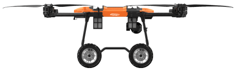 美女的隐藏部位是什么图片