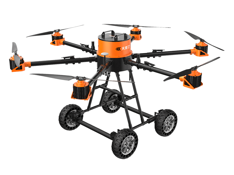 美女的隐藏部位是什么图片