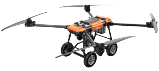 美女的隐藏部位是什么图片