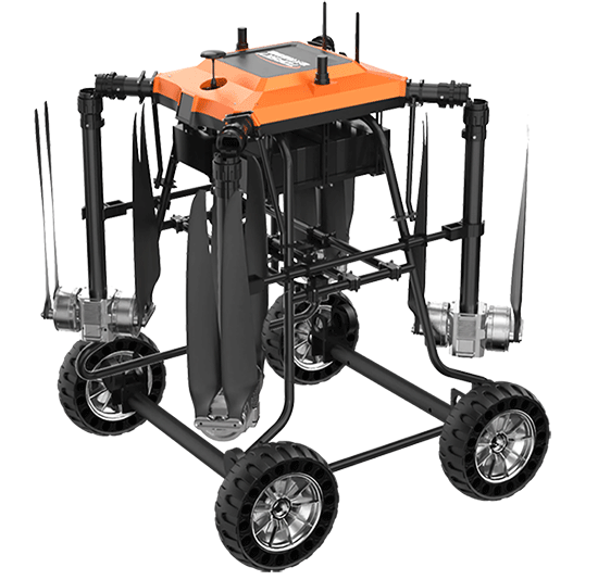 美女的隐藏部位是什么图片