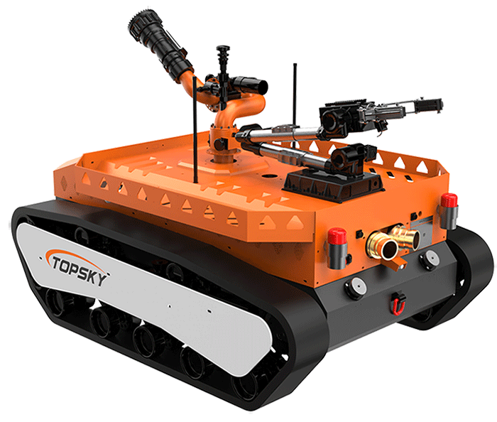 美女的隐藏部位是什么图片