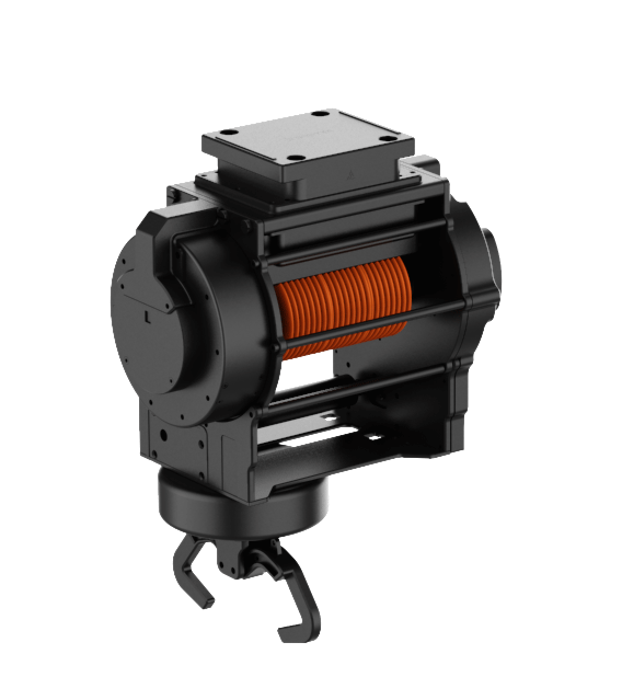 美女的隐藏部位是什么图片