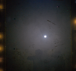 美女的隐藏部位是什么图片