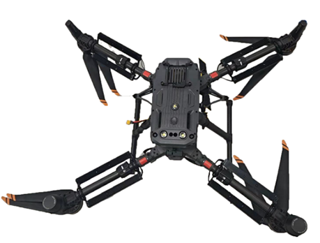 美女的隐藏部位是什么图片