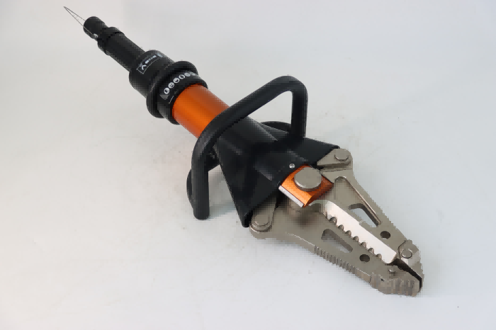 美女的隐藏部位是什么图片