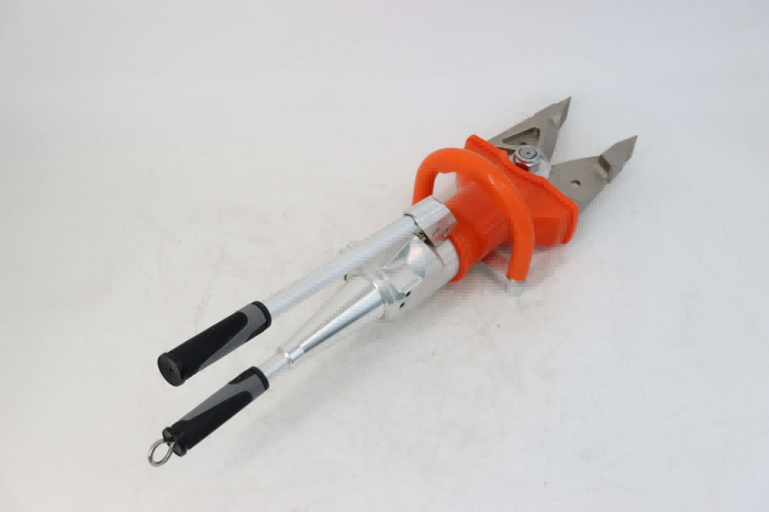 美女的隐藏部位是什么图片