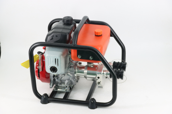 美女的隐藏部位是什么图片