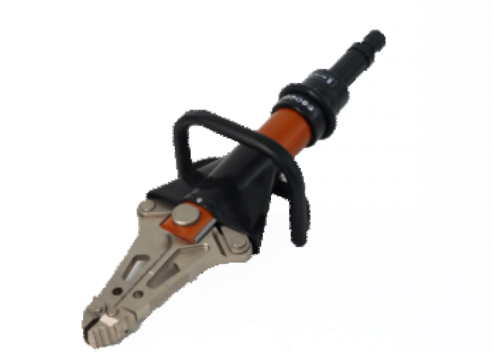 美女的隐藏部位是什么图片