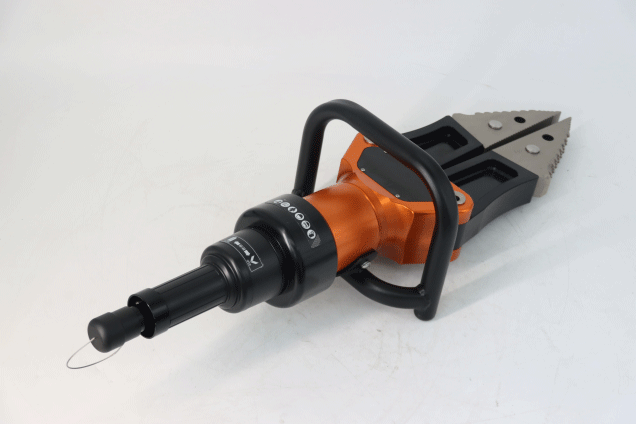 美女的隐藏部位是什么图片