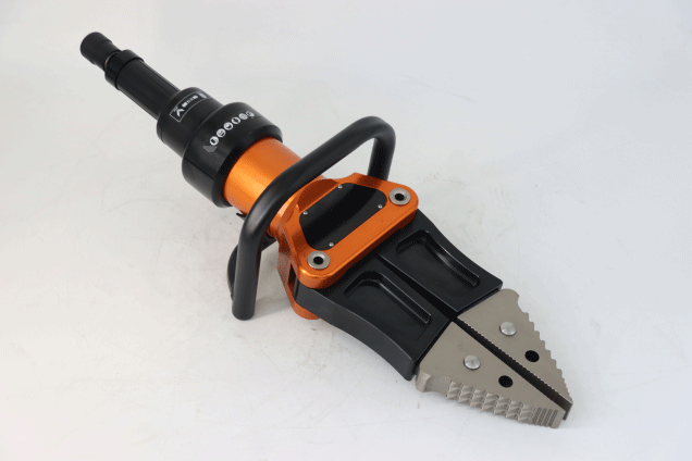 美女的隐藏部位是什么图片