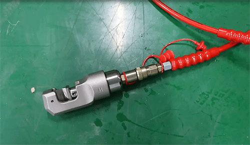 美女的隐藏部位是什么图片