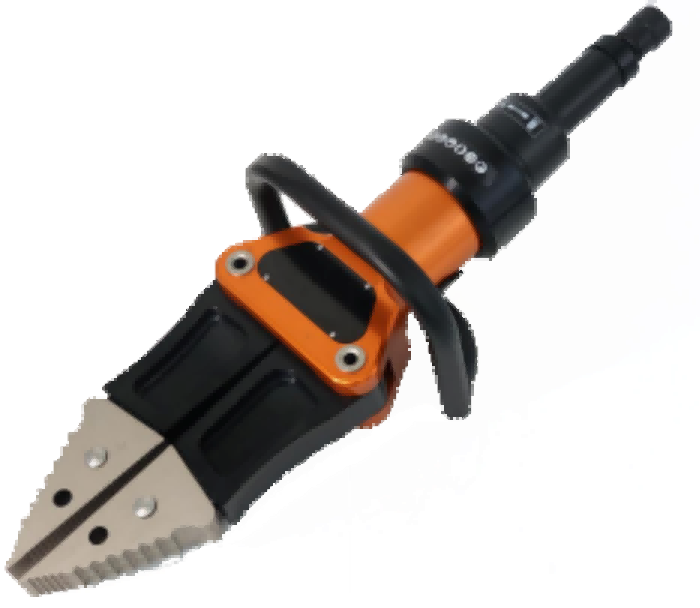 美女的隐藏部位是什么图片