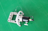 美女的隐藏部位是什么图片