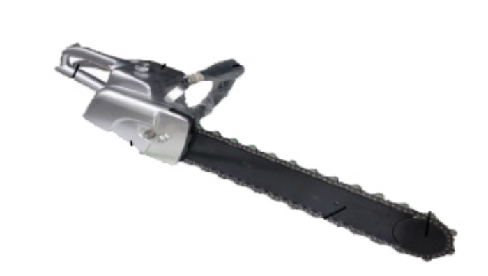 美女的隐藏部位是什么图片