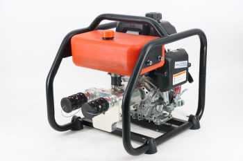 美女的隐藏部位是什么图片