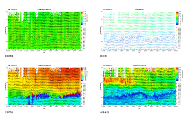 美女的隐藏部位是什么图片