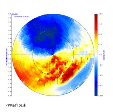 美女的隐藏部位是什么图片