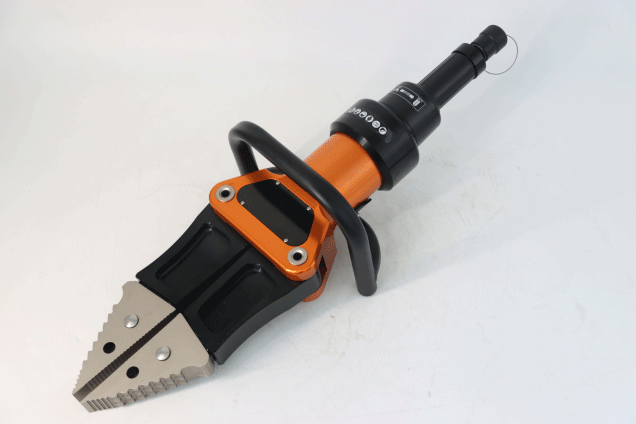 美女的隐藏部位是什么图片