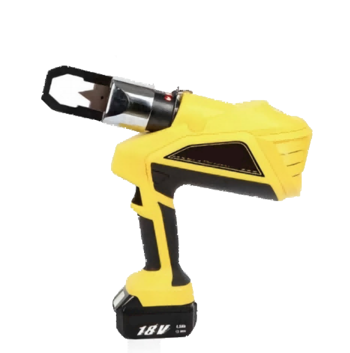 美女的隐藏部位是什么图片