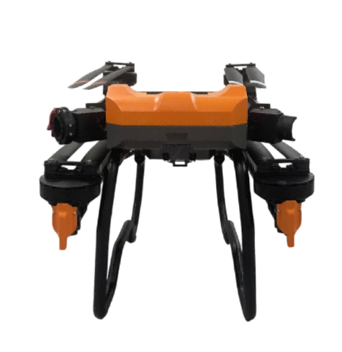 美女的隐藏部位是什么图片