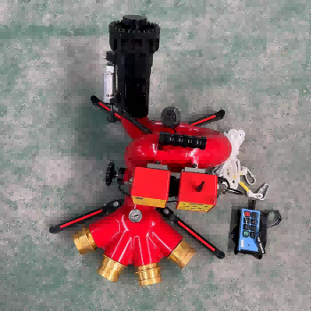 美女的隐藏部位是什么图片