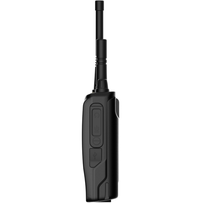 美女的隐藏部位是什么图片