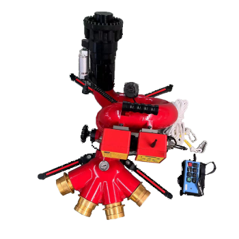 美女的隐藏部位是什么图片