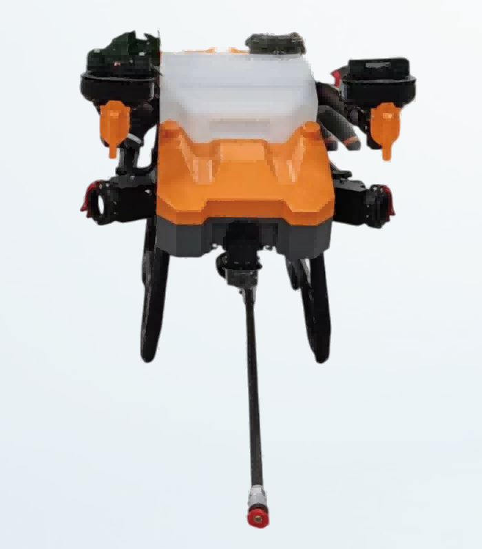 美女的隐藏部位是什么图片