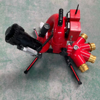 美女的隐藏部位是什么图片