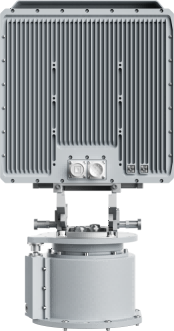 美女的隐藏部位是什么图片