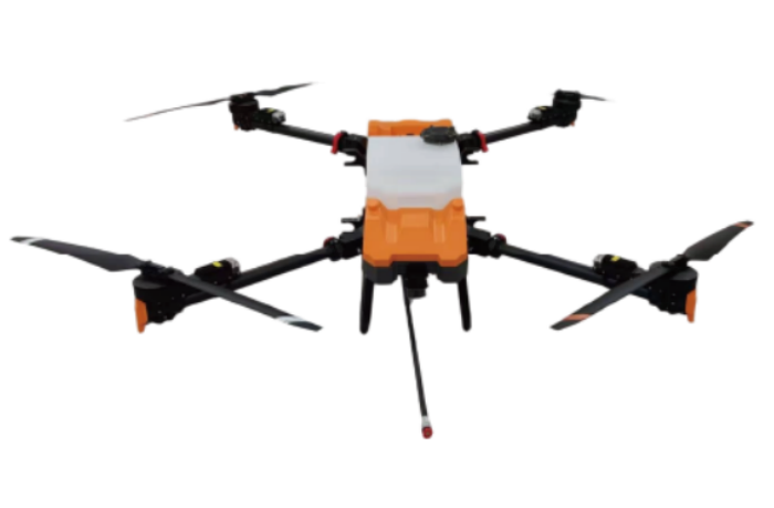 美女的隐藏部位是什么图片