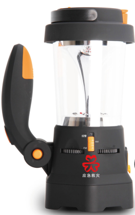 美女的隐藏部位是什么图片