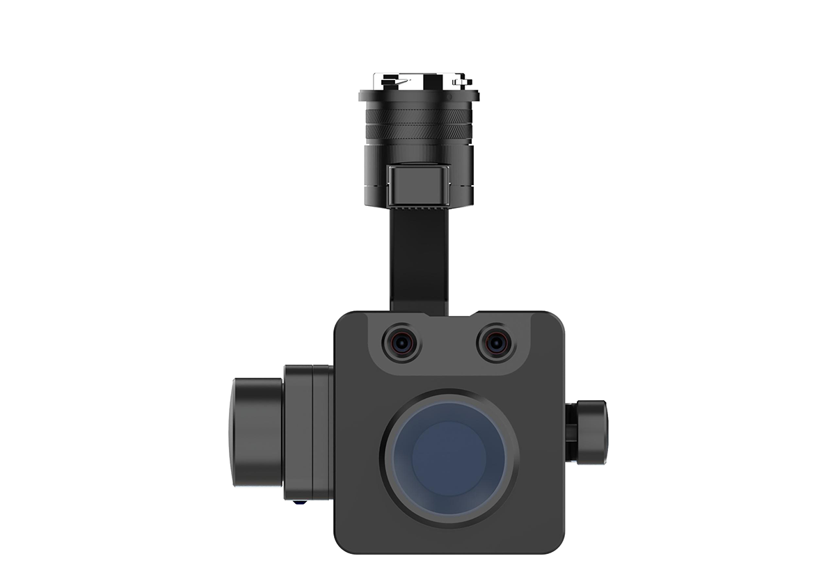 美女的隐藏部位是什么图片