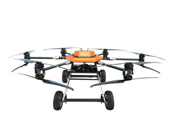 美女的隐藏部位是什么图片