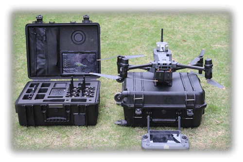 美女的隐藏部位是什么图片