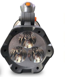 美女的隐藏部位是什么图片