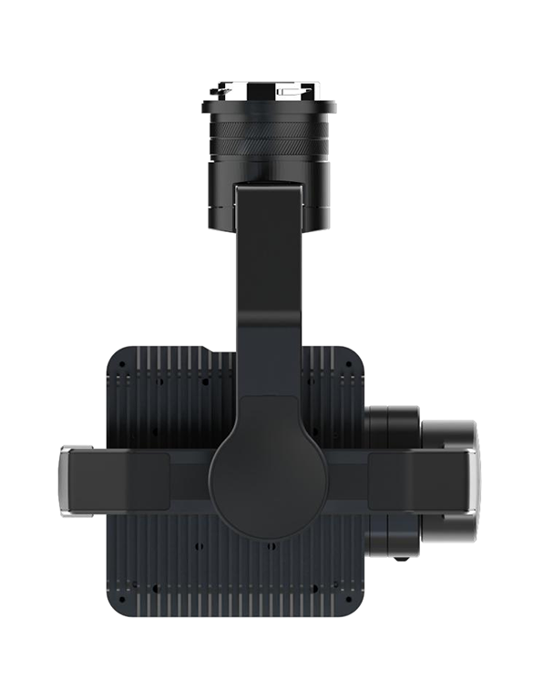 美女的隐藏部位是什么图片