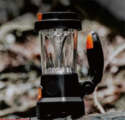 美女的隐藏部位是什么图片