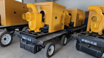 美女的隐藏部位是什么图片