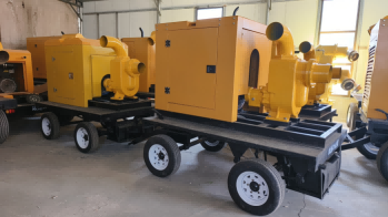 美女的隐藏部位是什么图片